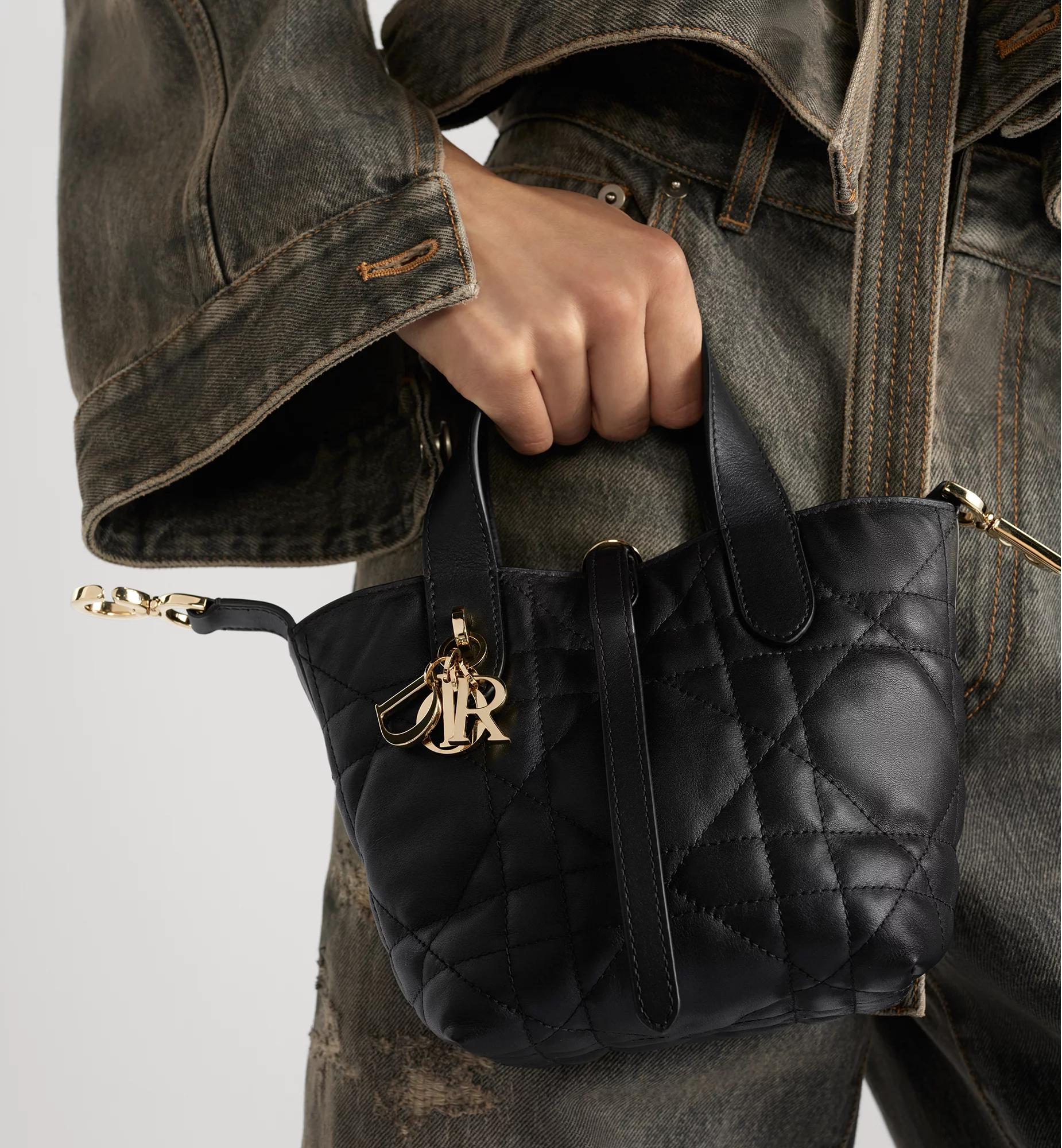 Dior Toujours Vertical Nano Tote Bag Product Image