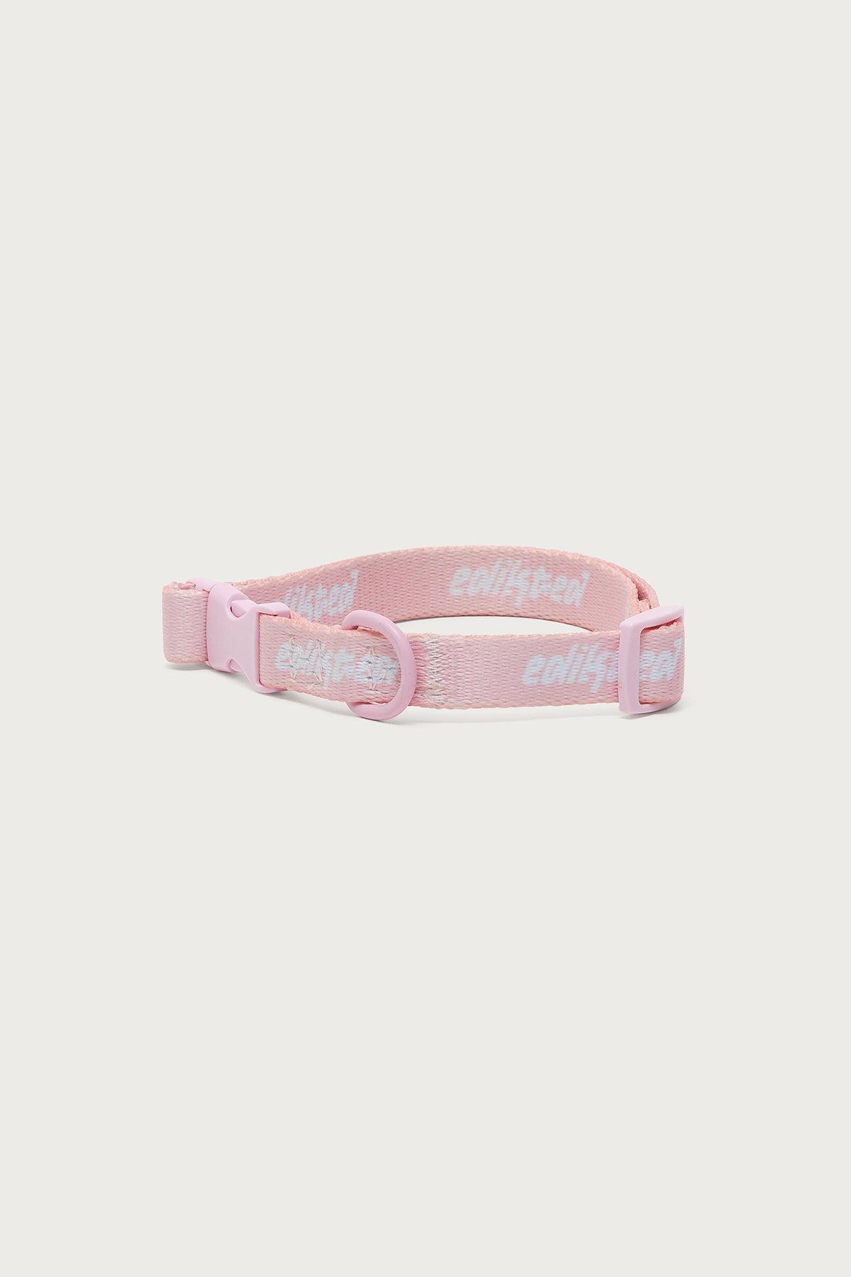 Edikted Pet Collar Product Image
