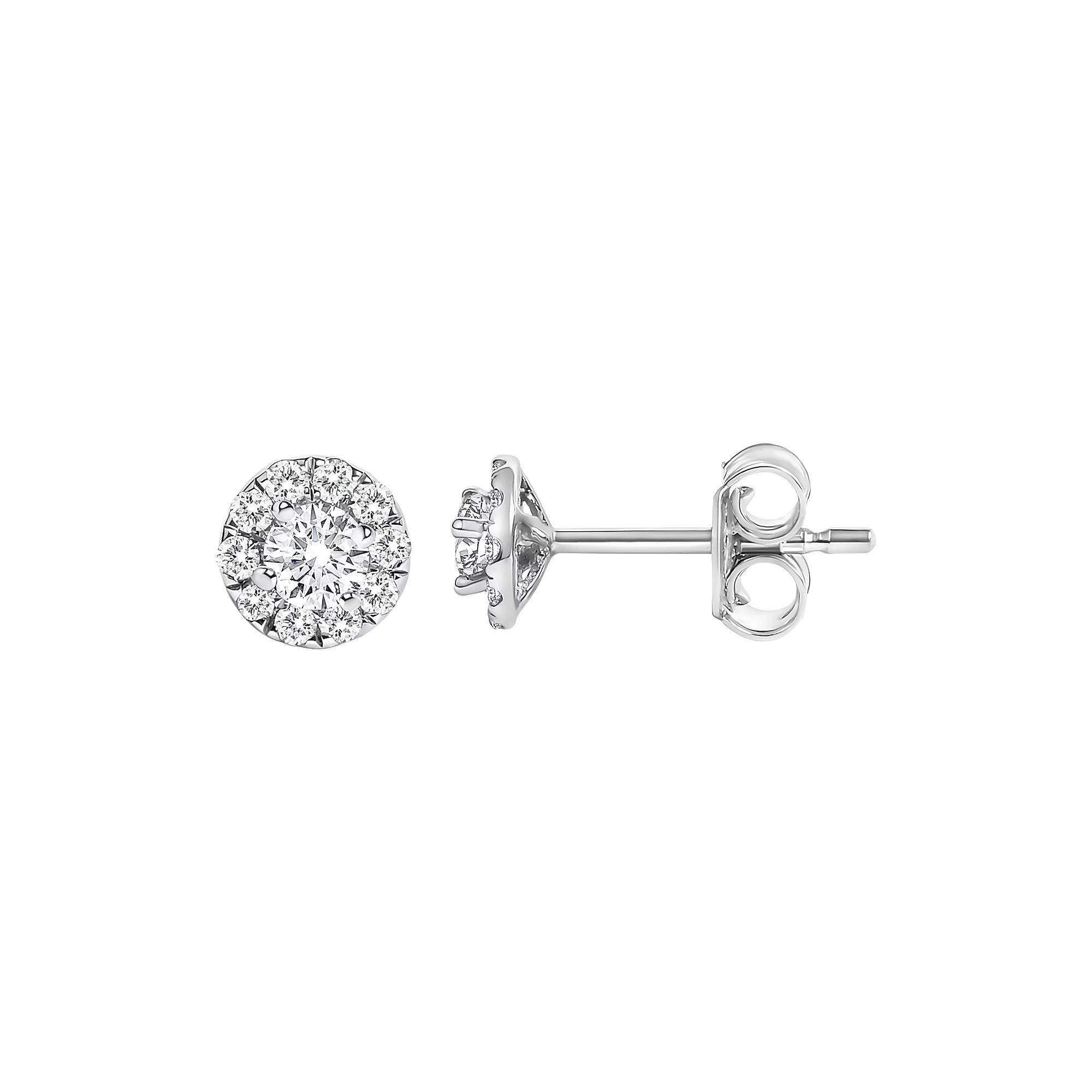 Haus of Brilliance 14k White Gold 1/3 Carat T.W. Lab-Grown Diamond Stud Earrings, Women's Product Image