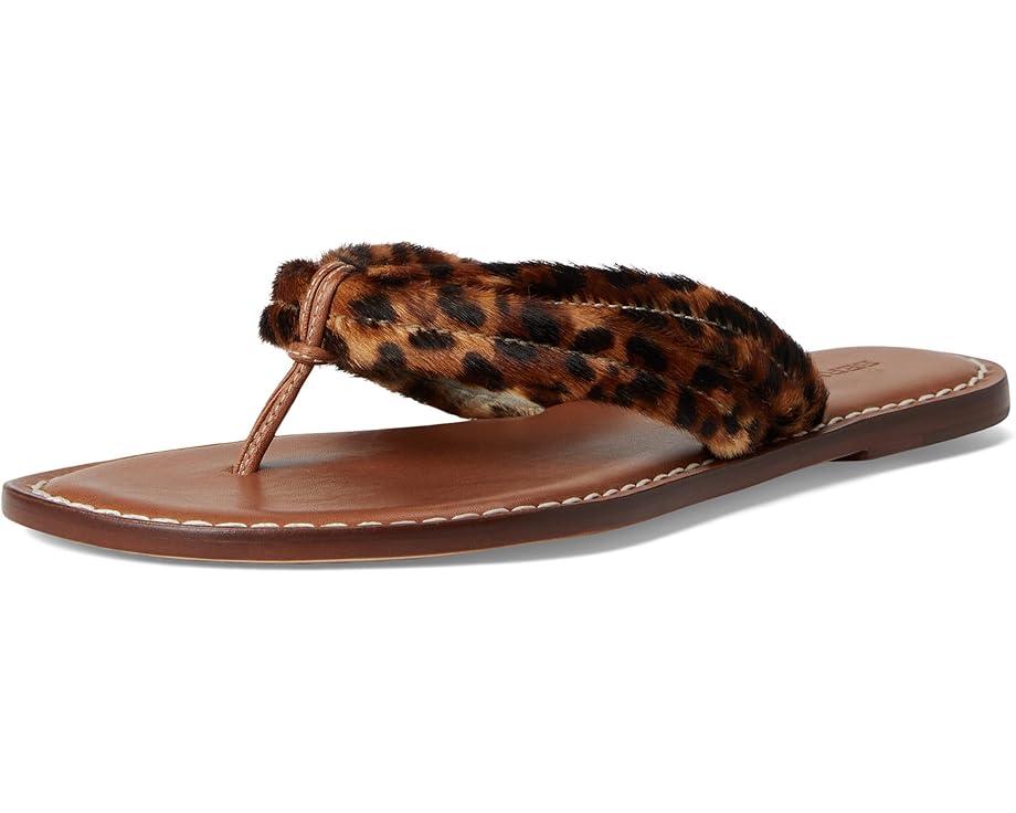 MSRP: $168(25% OFF) Product Image