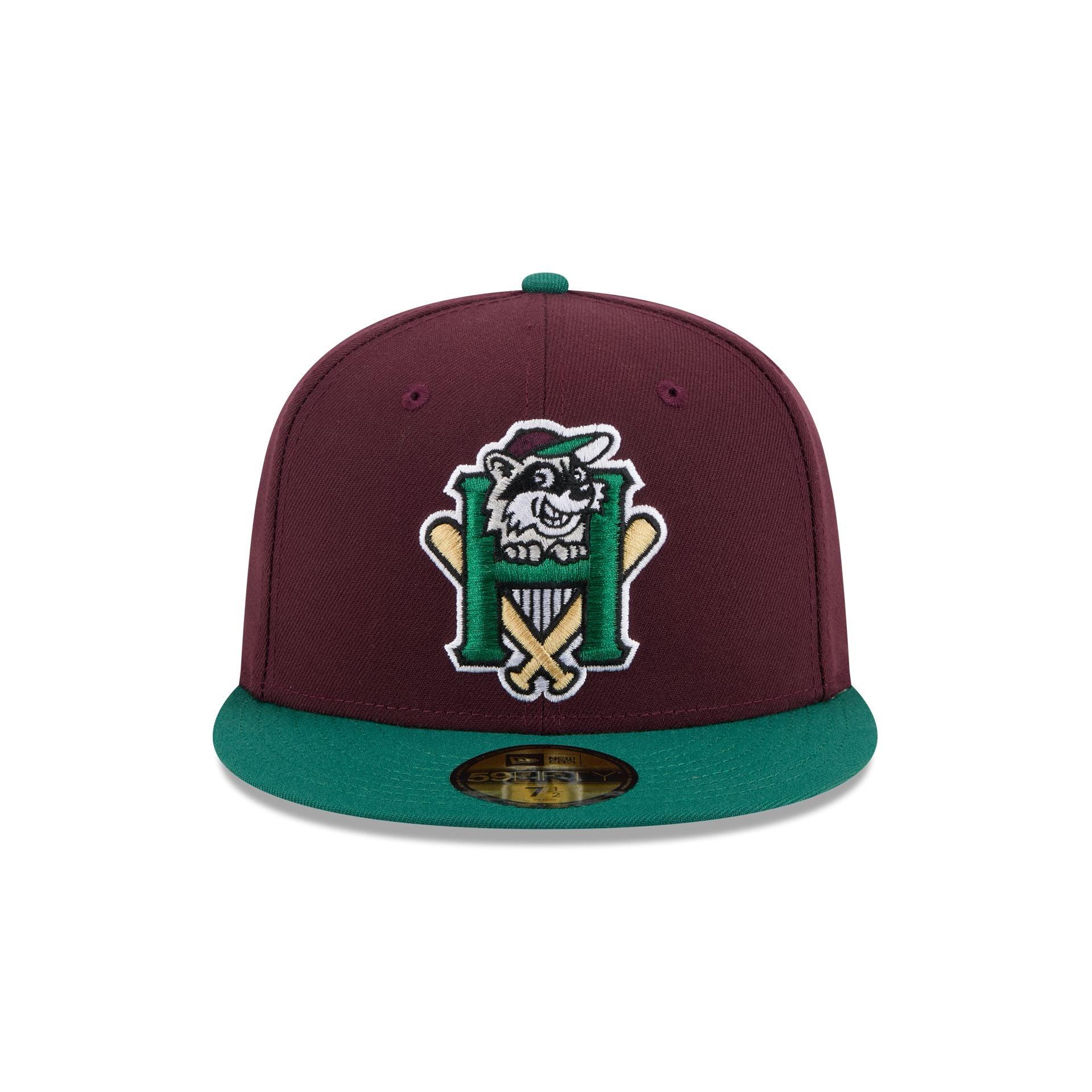 Hudson Valley Renegades Theme Night Maroon 59FIFTY Fitted Hat Male Product Image
