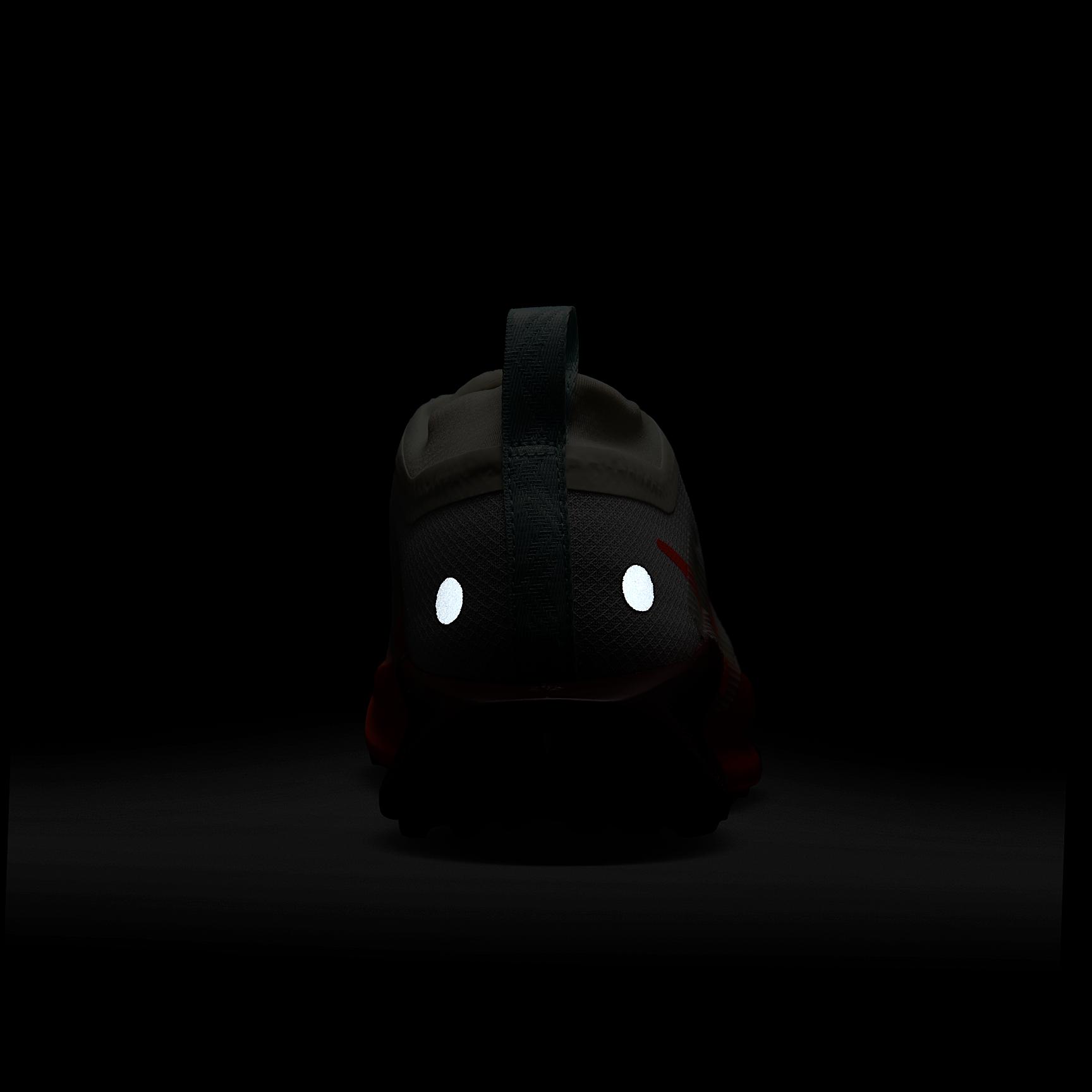 Nike Womens Pegasus Trail 5 GORE-TEX Waterproof Trail Running Shoes | FQ0912-104 Product Image