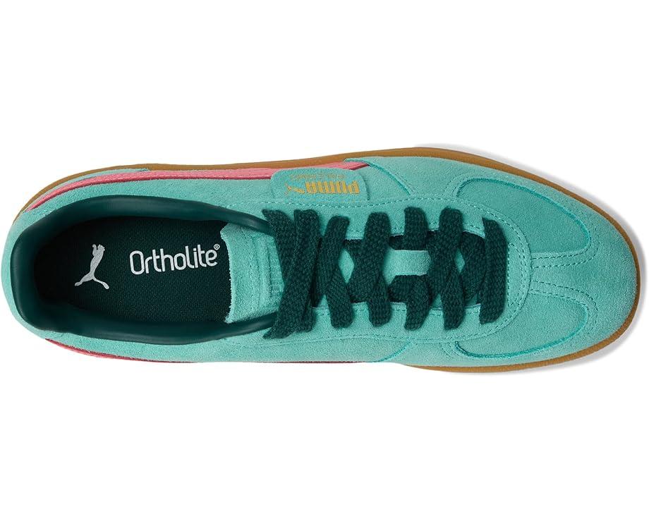 Arizona Sneakers Product Image