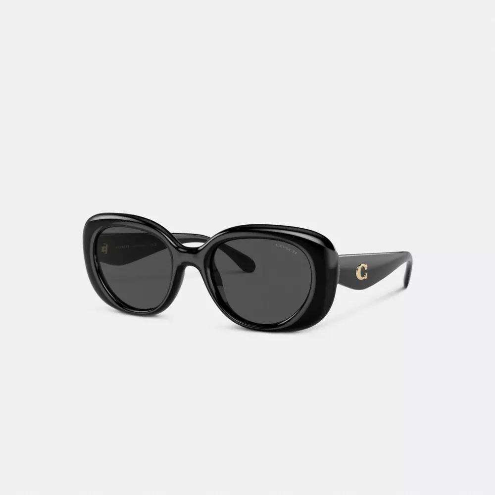 C Hardware Round Sunglasses Product Image