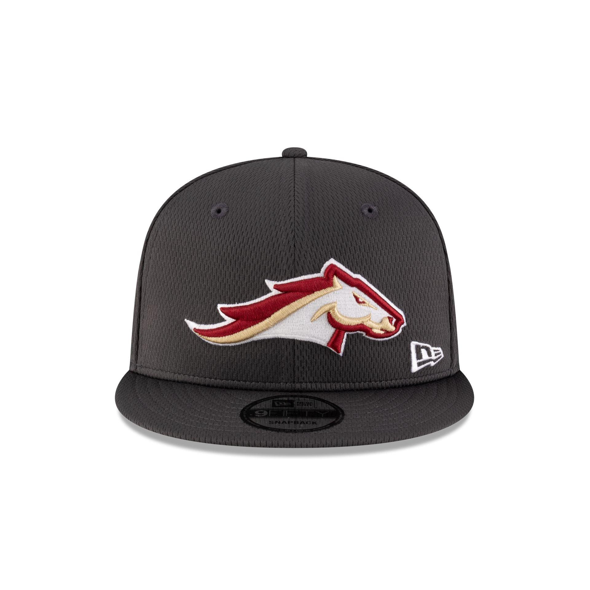 Birmingham Stallions Gray 9FIFTY Snapback Hat Male Product Image