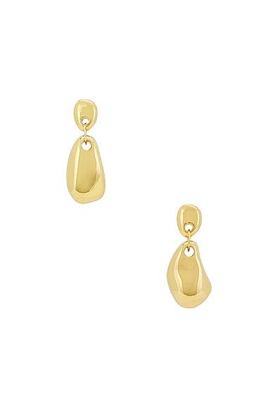 Luna Earrings Product Image