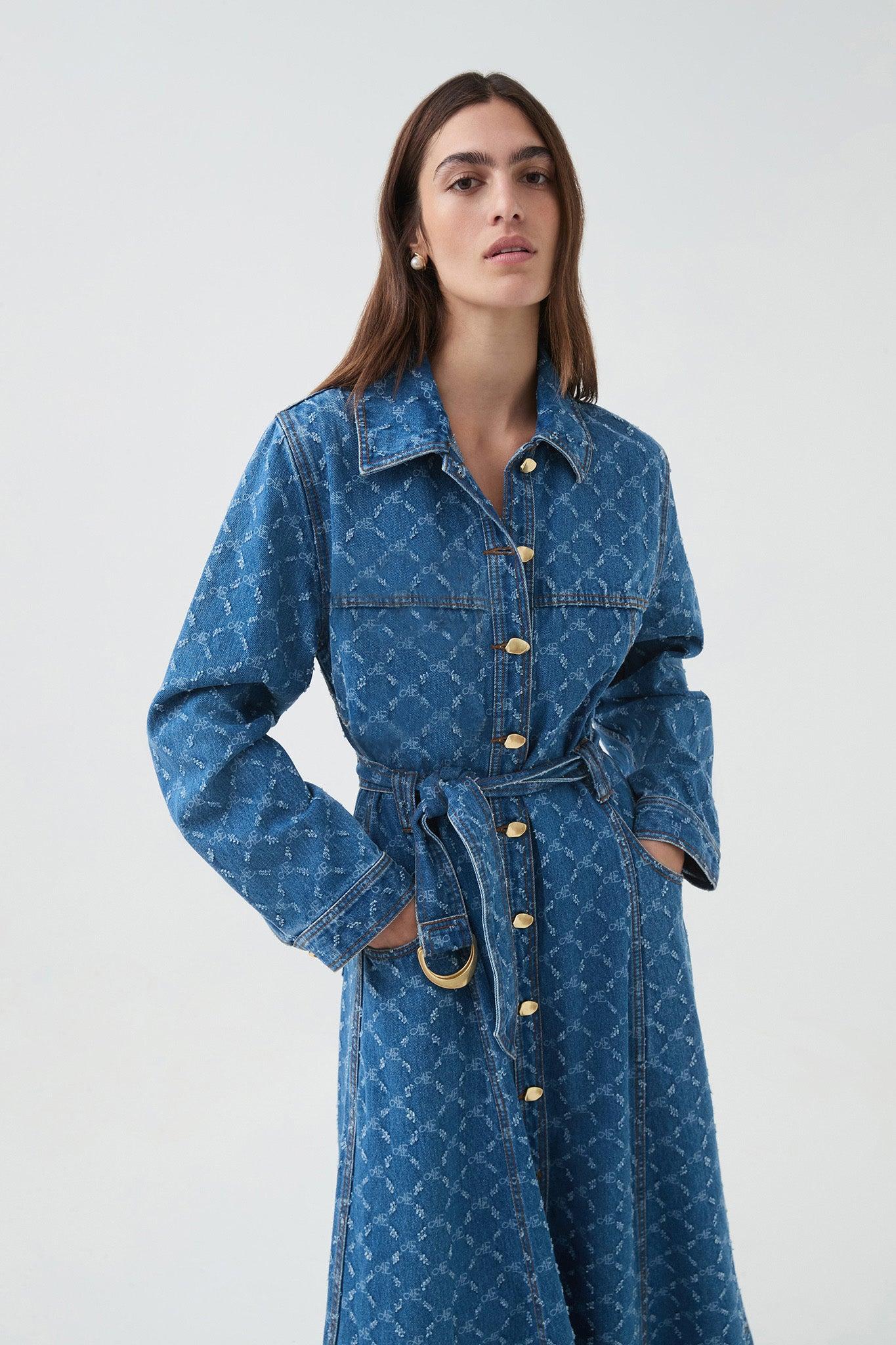 Check Denim Midi Dress Product Image