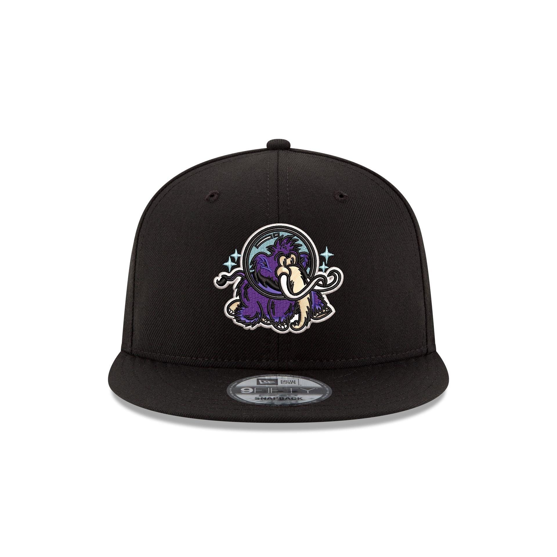 Erie Moon Mammoths 9FIFTY Snapback Hat Male Product Image