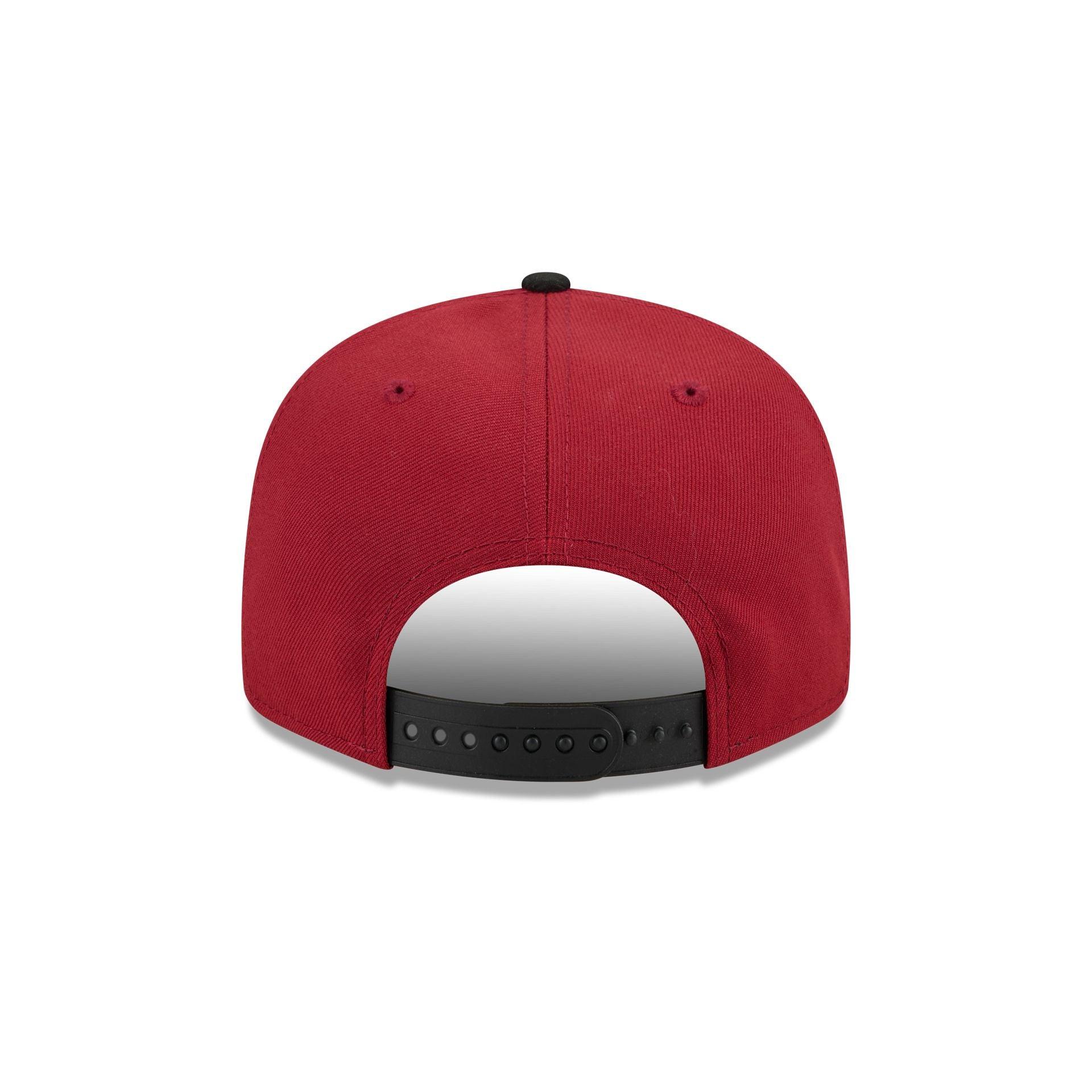 Arizona Diamondbacks Generation Mascots 9FIFTY Snapback Hat Male Product Image