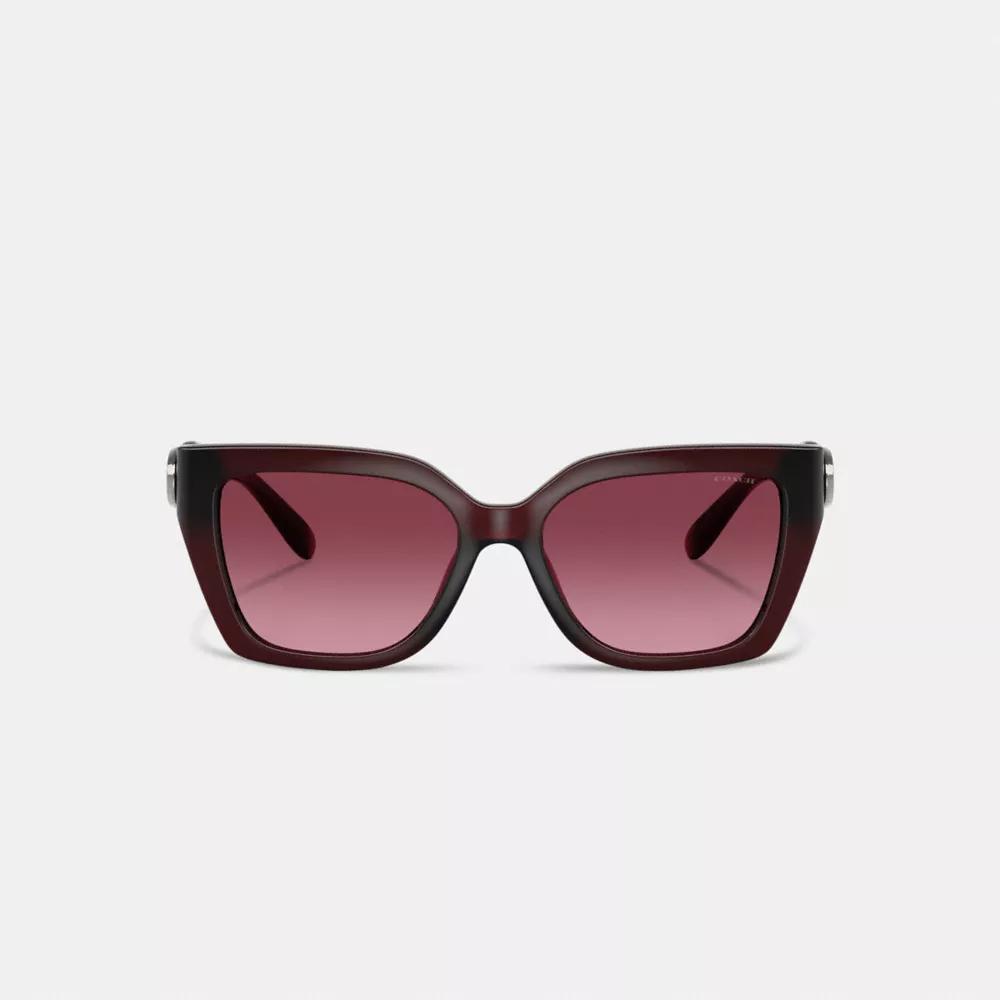 Maxi Sculpted C Square Cat Eye Sunglasses Product Image