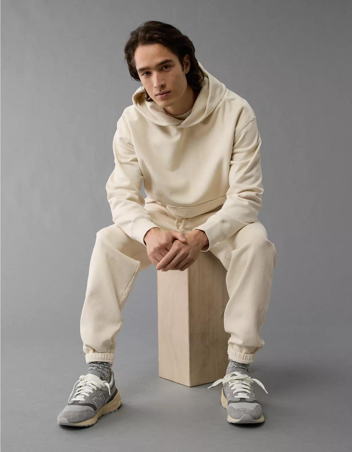 AE Laidback Luxe Heavyweight Hoodie Product Image