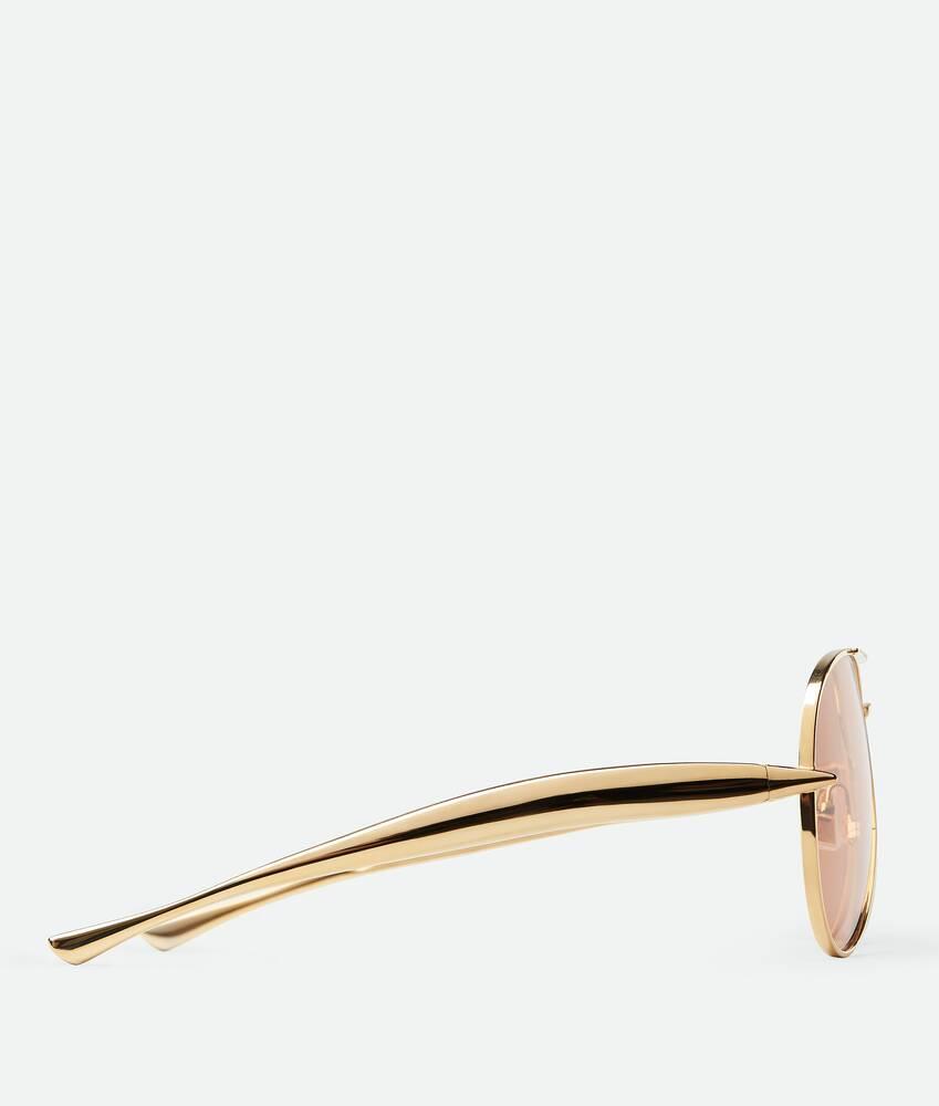 Sardine Aviator Sunglasses in Gold/brown Product Image