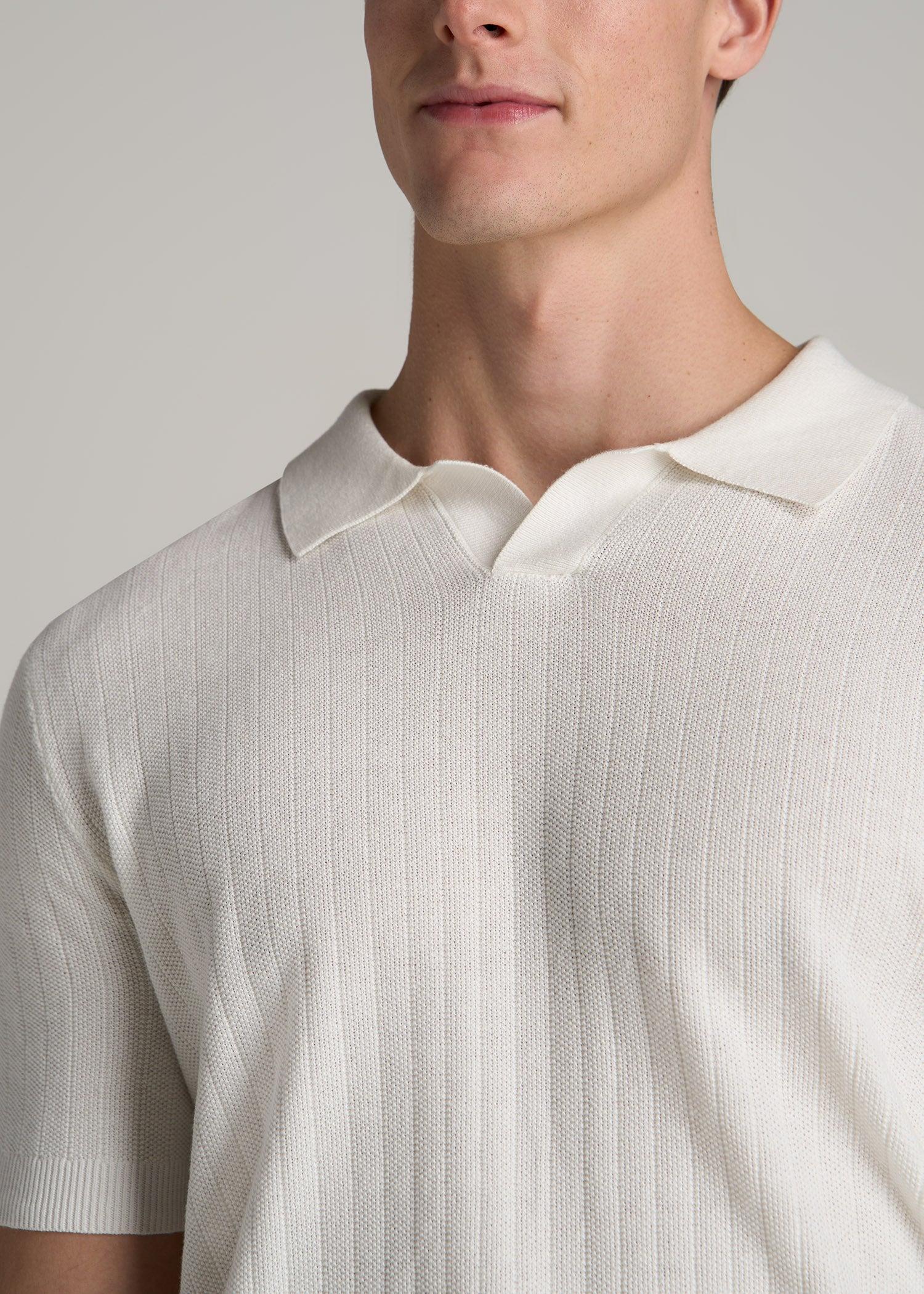 Linen Blend Ribbed Knit Polo Shirt for Tall Men in Stone Male Product Image