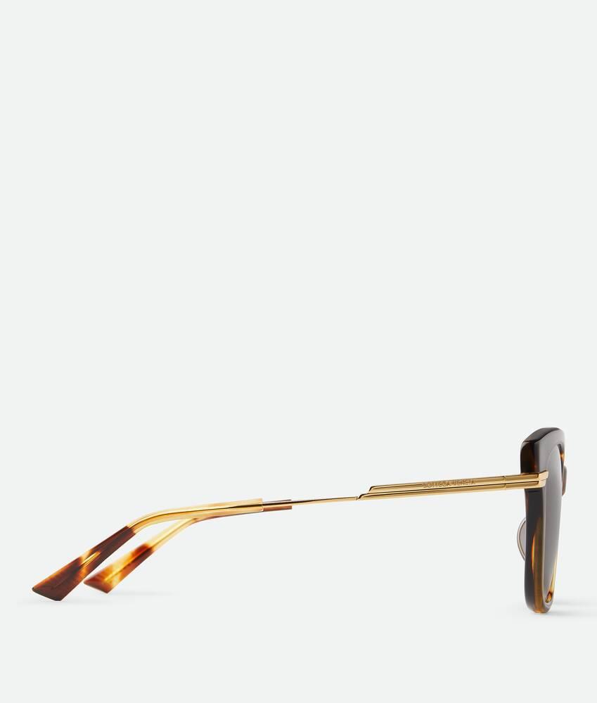 Women's Classic Square Sunglasses in Havana/brown Product Image