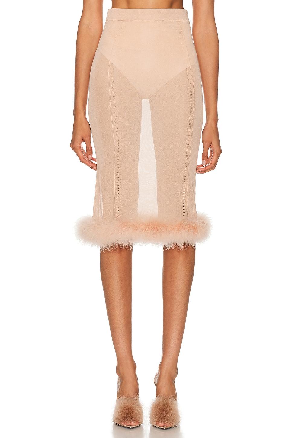 Sheer Midi Skirt Product Image