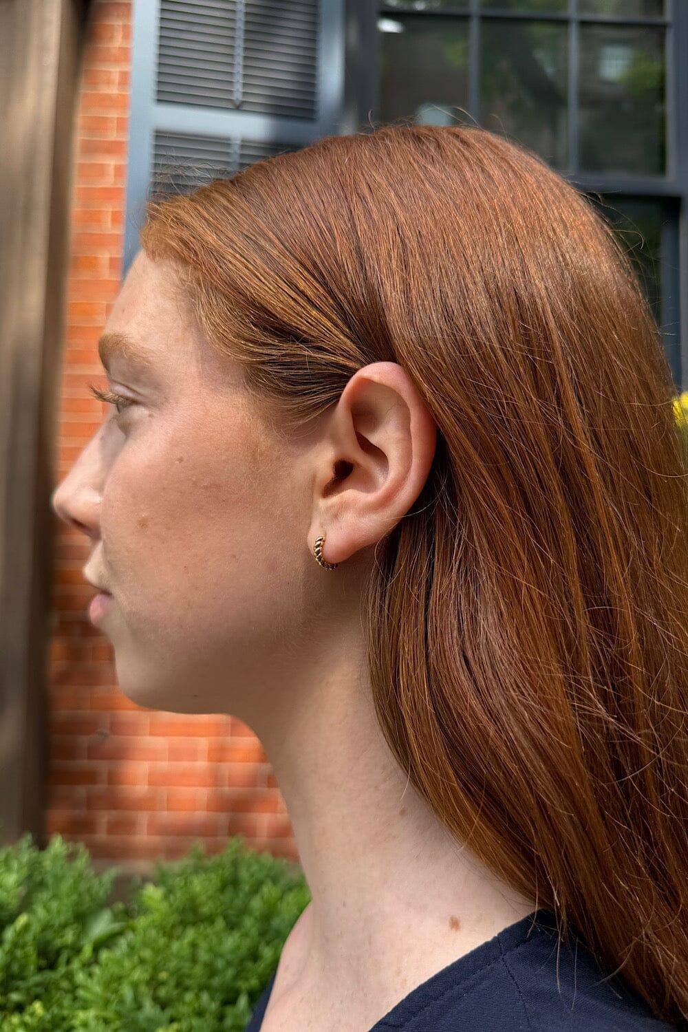 Hoop Earrings Product Image