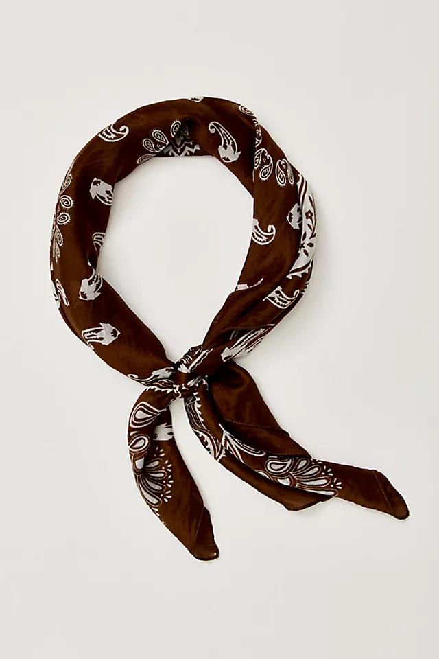 So Silk Bandana Product Image