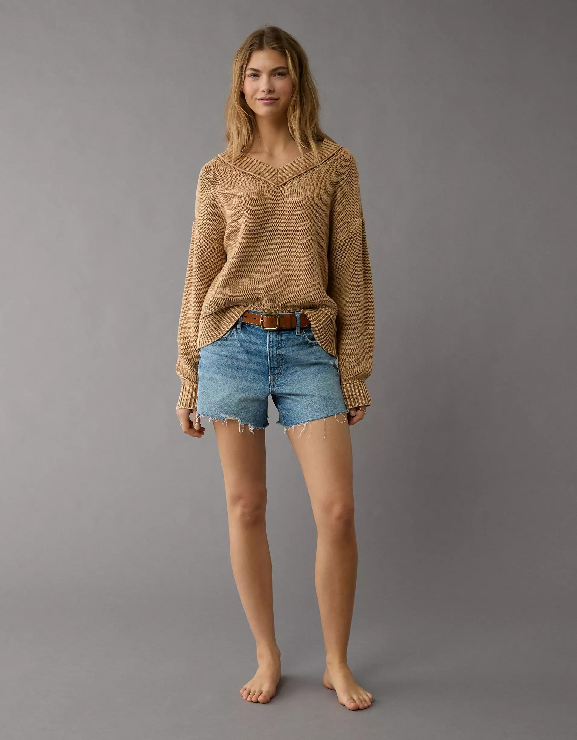 AE Long Weekend V-Neck Sweater Product Image