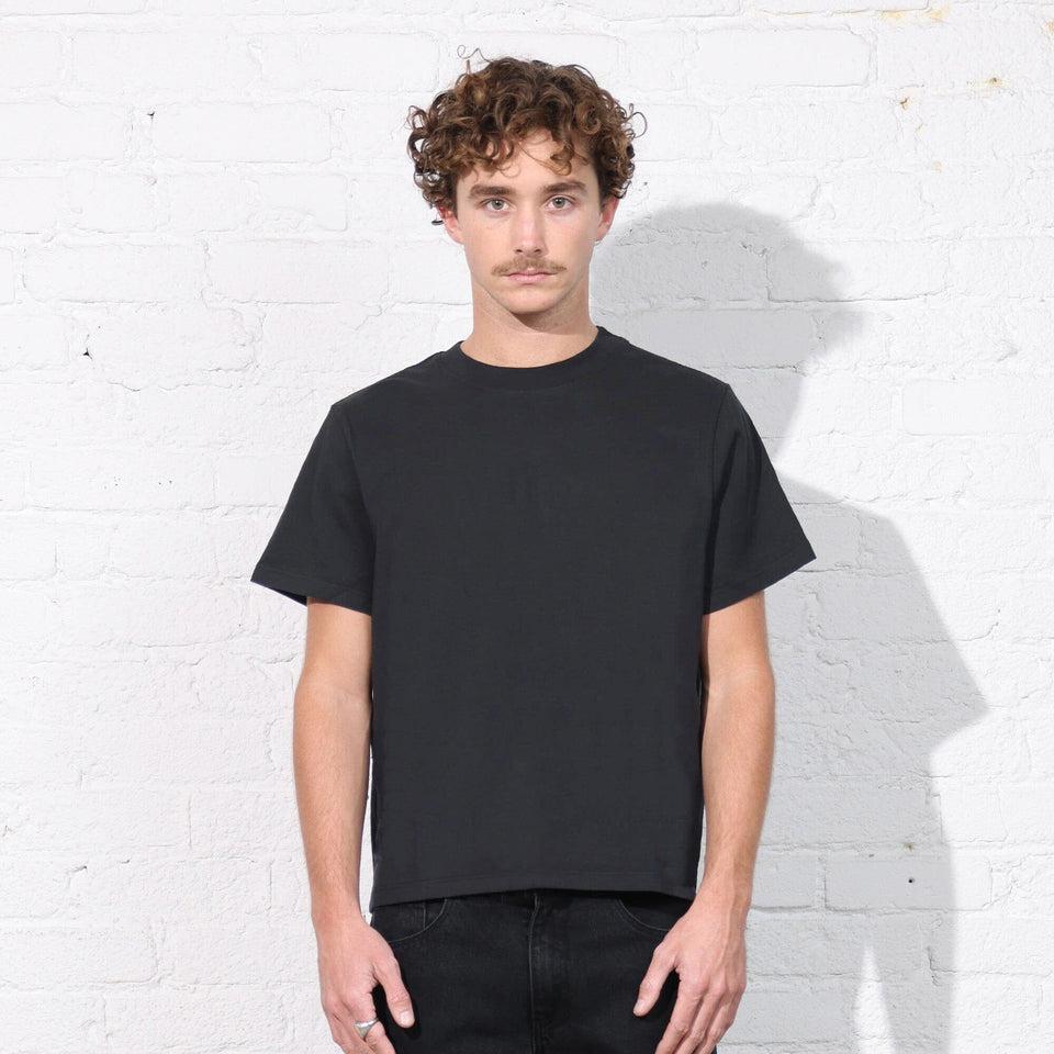 Silverlake Crop Tee II Product Image