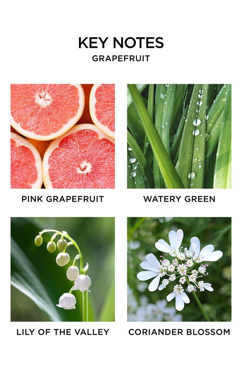 Nest Mini Votive Grapefruit Candle Product Image