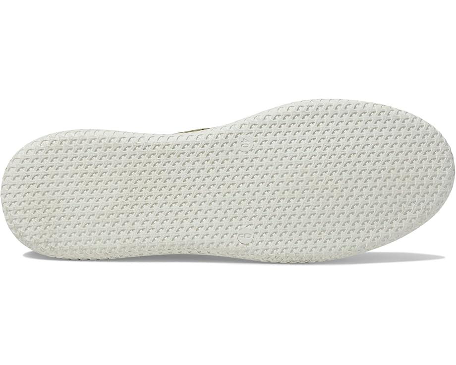 Picasa Product Image