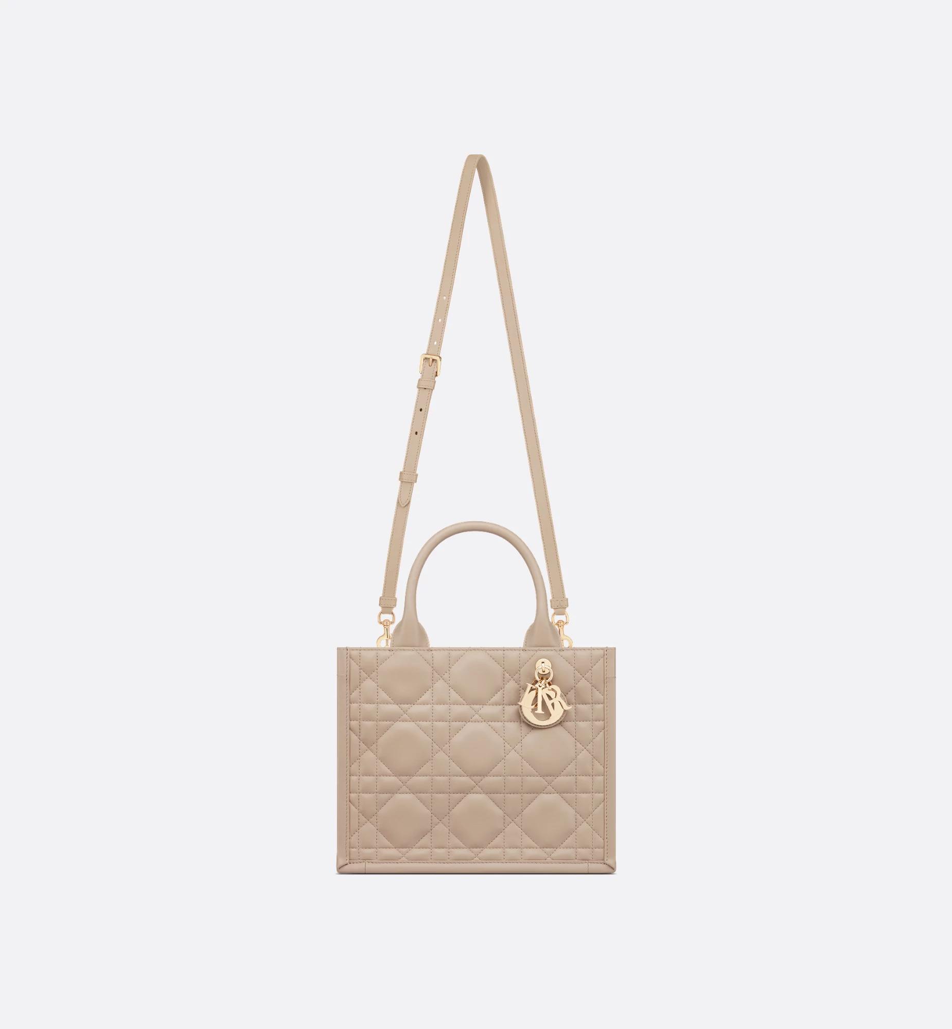 Small Dior Book Tote Product Image