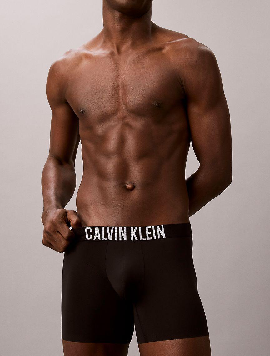 Intense Power Motion Boxer Brief Product Image