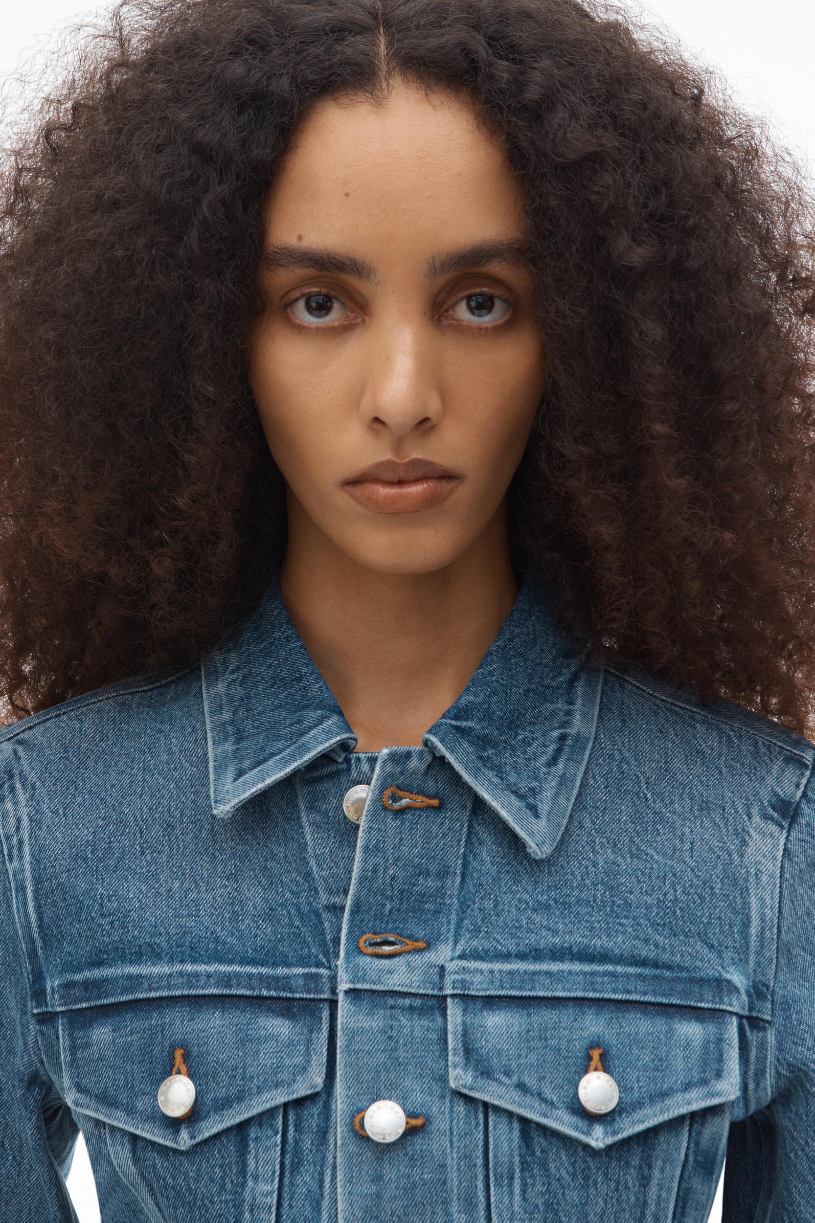 Denim Trucker Jacket Product Image