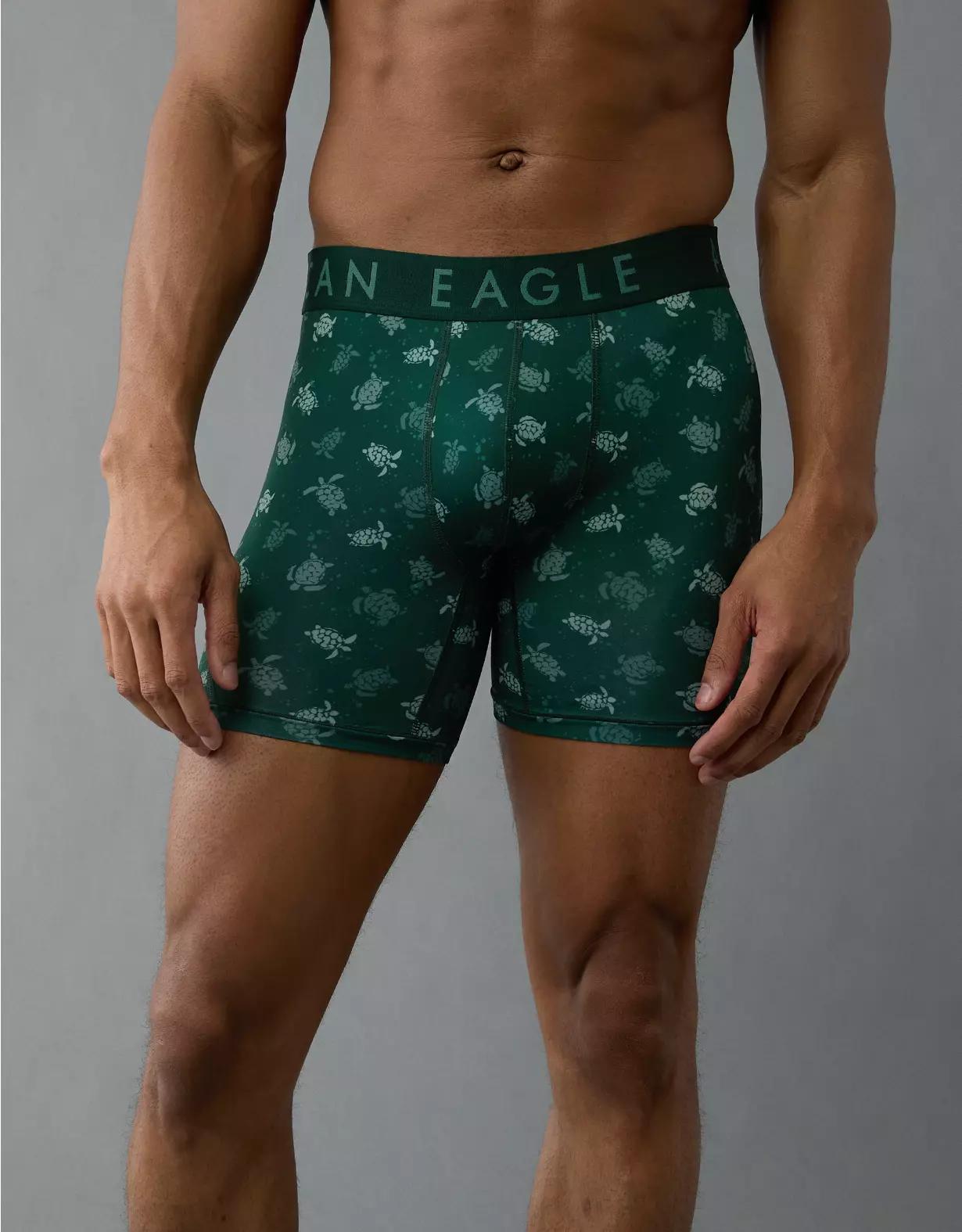 AEO Men's Turtles 6" Flex Boxer Brief Product Image