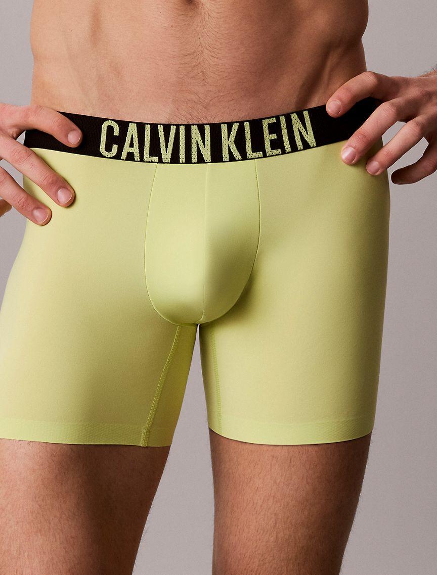 Intense Power Motion Boxer Brief Product Image