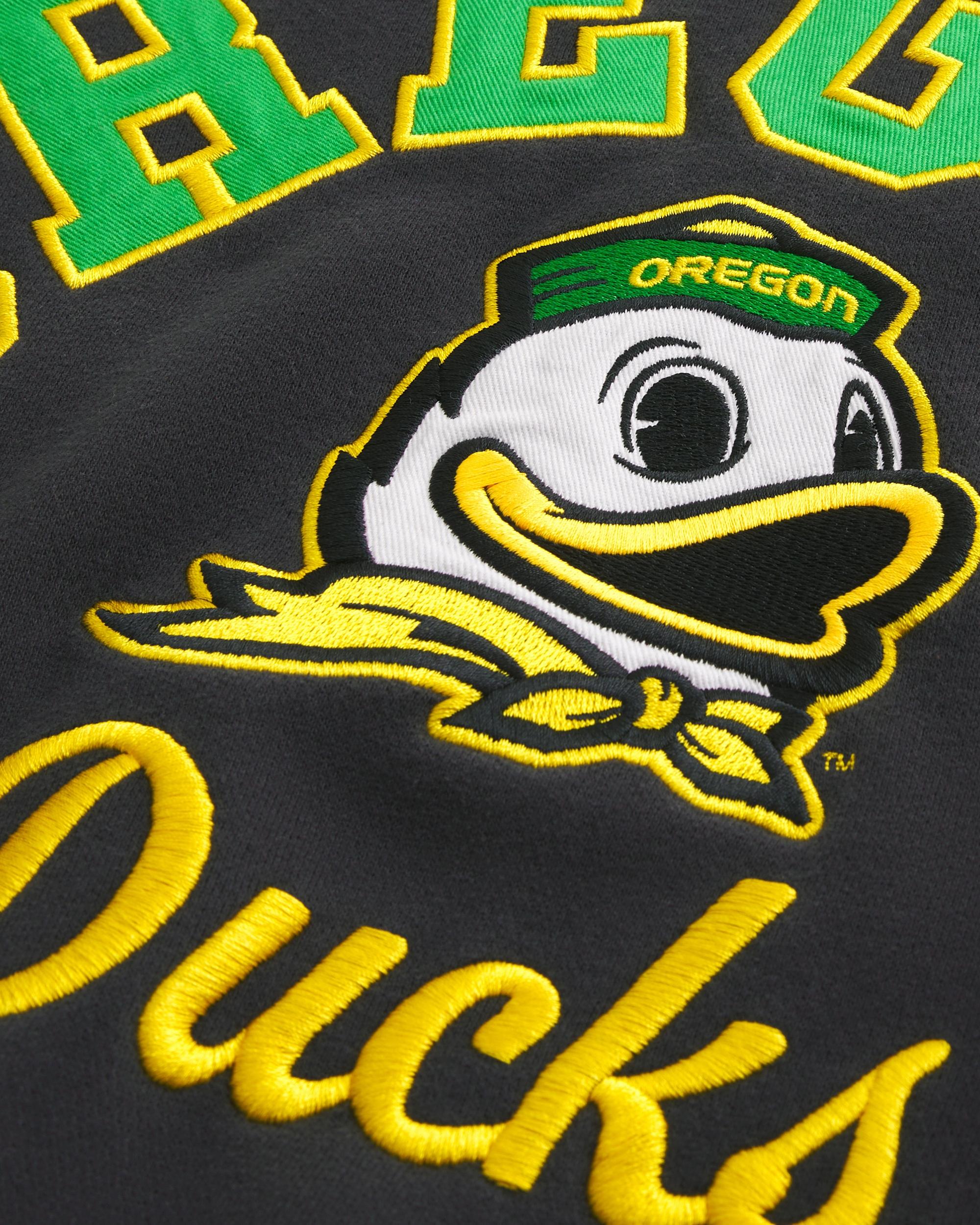 Northwestern Wildcats Graphic Crew Sweatshirt Product Image