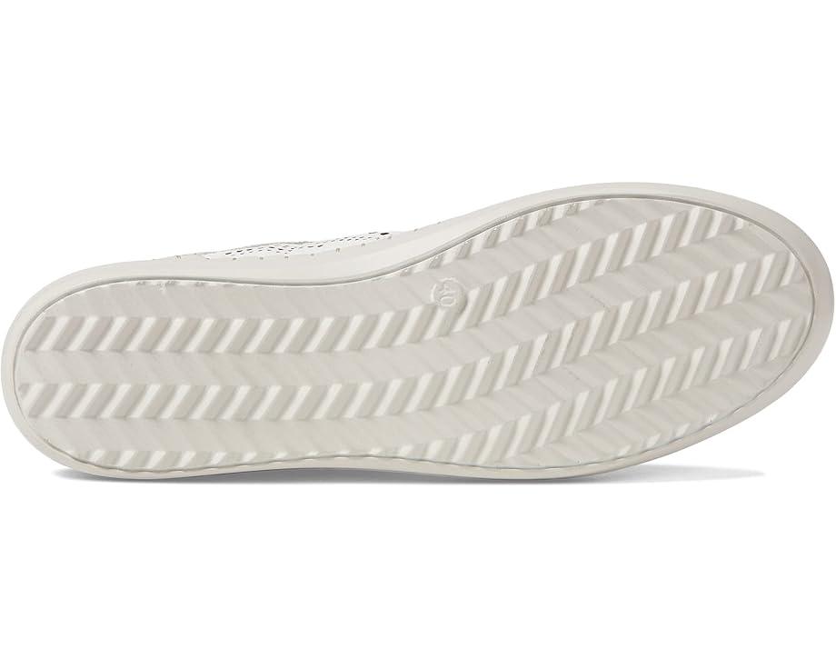 Picasa Product Image