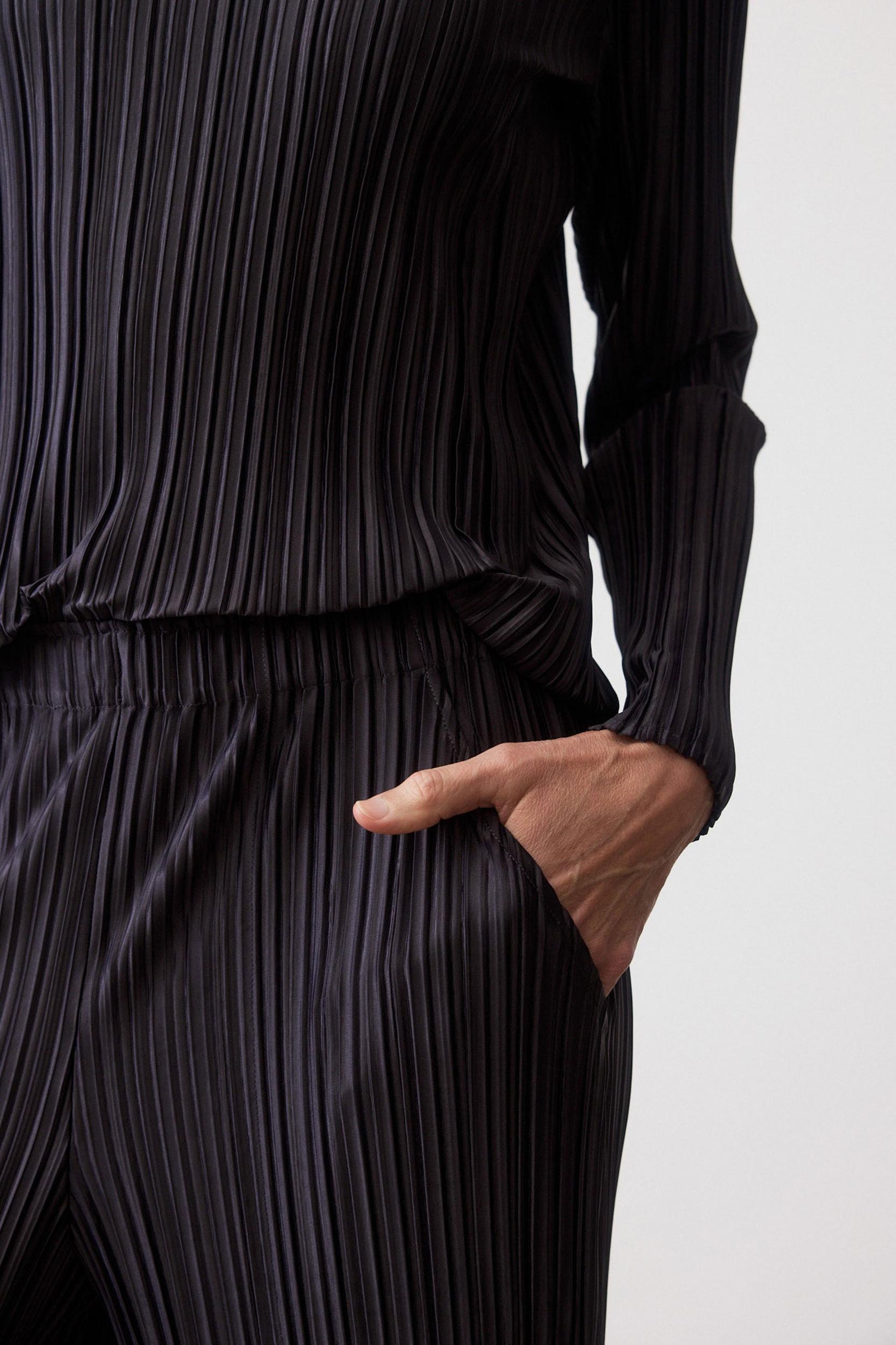 Relaxed Pleated Pants Product Image