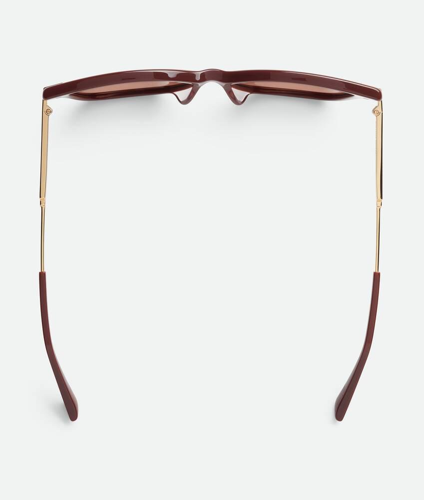 Women's Classic Square Sunglasses in Burgundy/brown Product Image