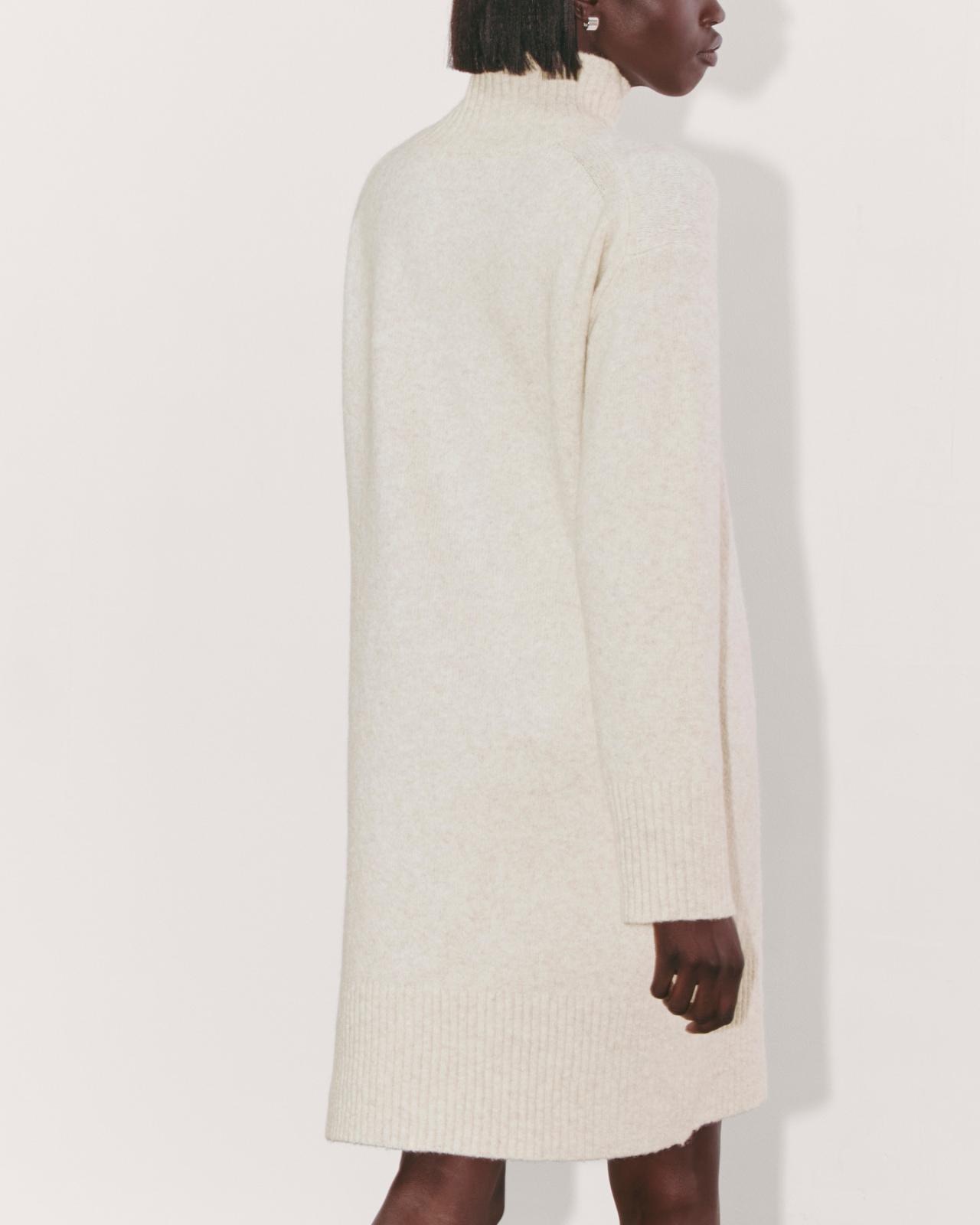 Womens Sweater Dress in Plush Cotton by Everlane Product Image