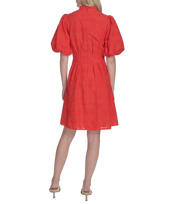 Eliza J Ruffle Stand Collar Short Puff Sleeve Emrboidered Cotton Fit & Flare Dress Product Image
