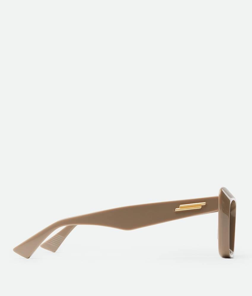 Women's Classic Cat Eye Sunglasses in Brown/brown Product Image