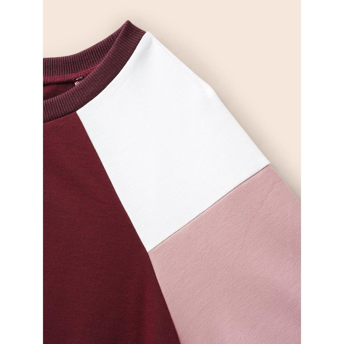 Plus Size Colorblock Contrast Raglan Sleeve Sweatshirt Women Multicolor Casual Contrast Round Neck Everyday Sweatshirts BloomChic 26/4X Product Image