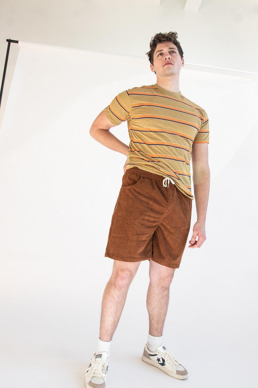 Plush Corduroy Shorts Product Image