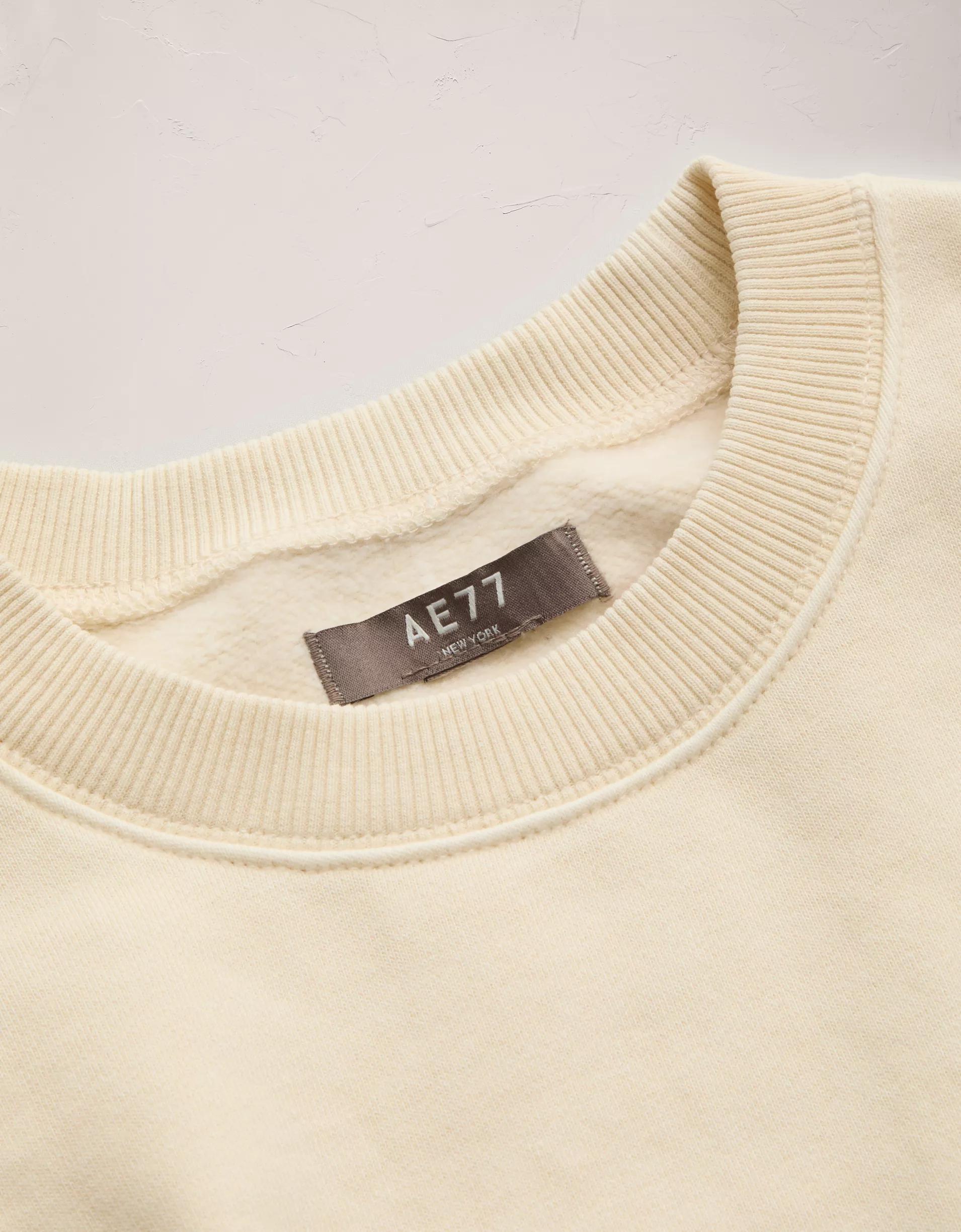 AE77 Premium Fleece Sweatshirt Product Image