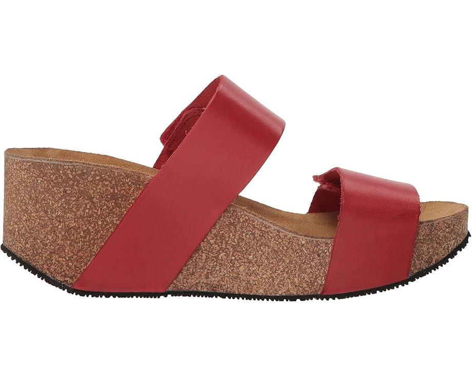 Lily 2 Product Image