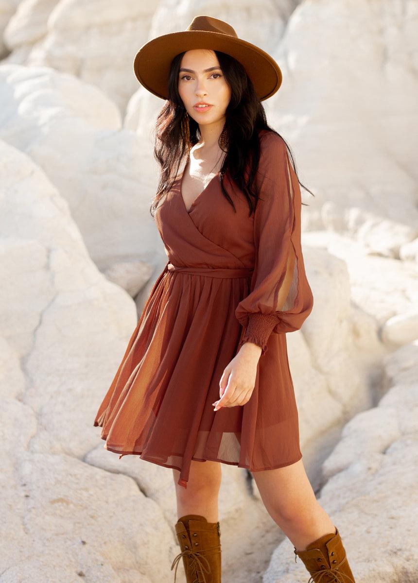 Ani Dress in Rust Female Product Image
