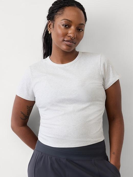 Signature Rib Crop Tee Product Image