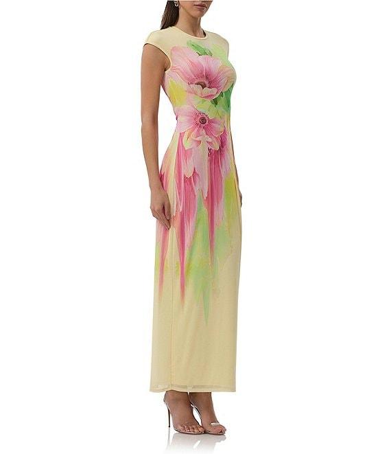 AFRM Cody Floral Print Crew Neck Cap Sleeve Mesh Maxi Dress Product Image