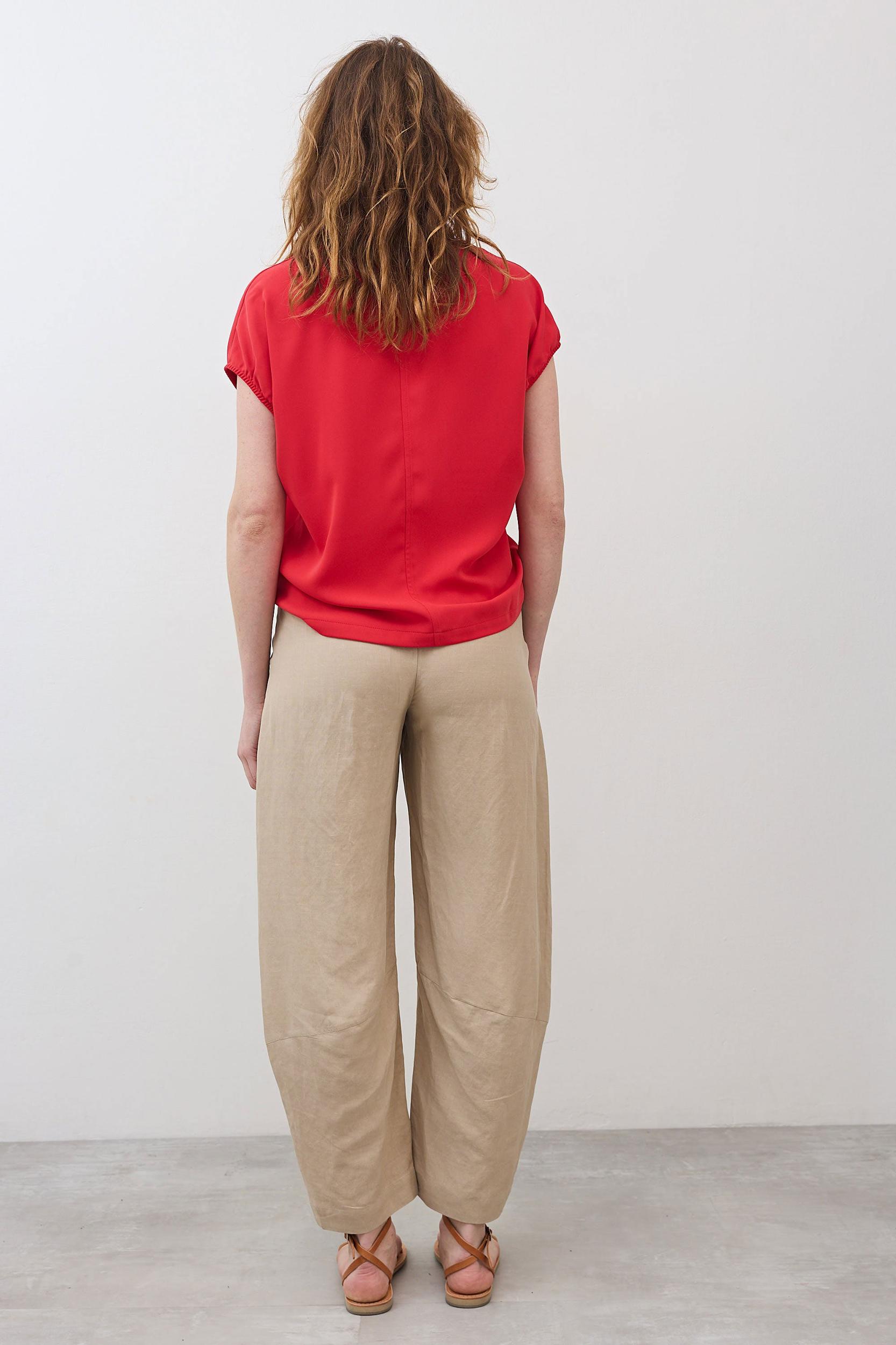 The Nuanced V-Neck Top Product Image