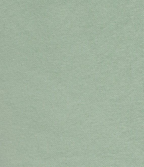 The North Face Evolution Embroidered Logo Mock Neck Quarter Zip Pullover Product Image