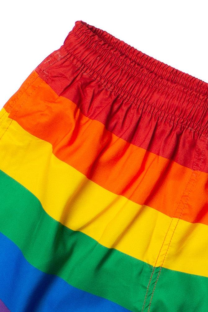Rainbow Striped Swim Shorts Product Image
