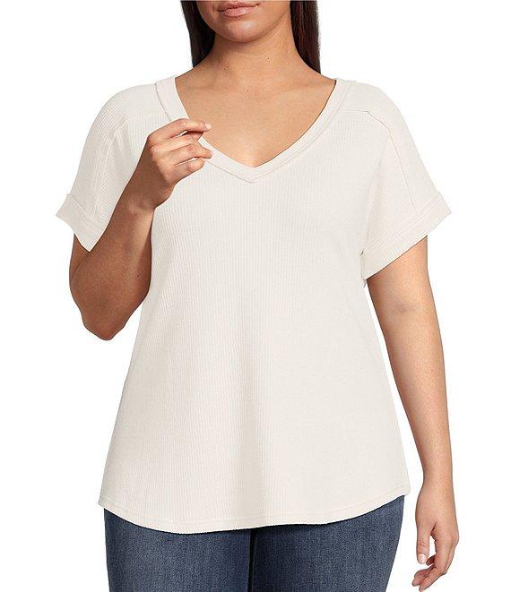 Perch By Blu Pepper Plus Short Sleeve Top Product Image