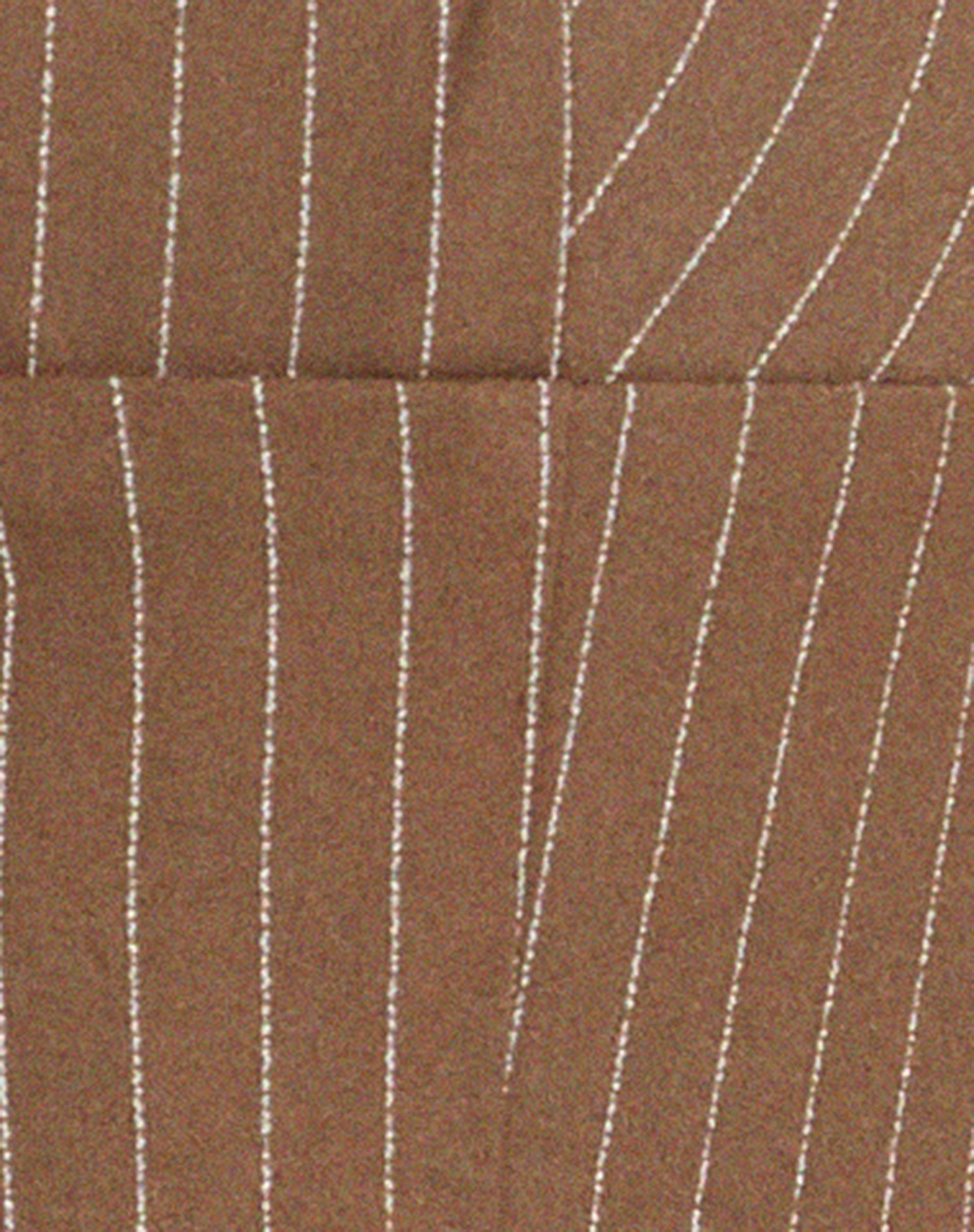 Canisba Crop Top in Pinstripe Brown Product Image