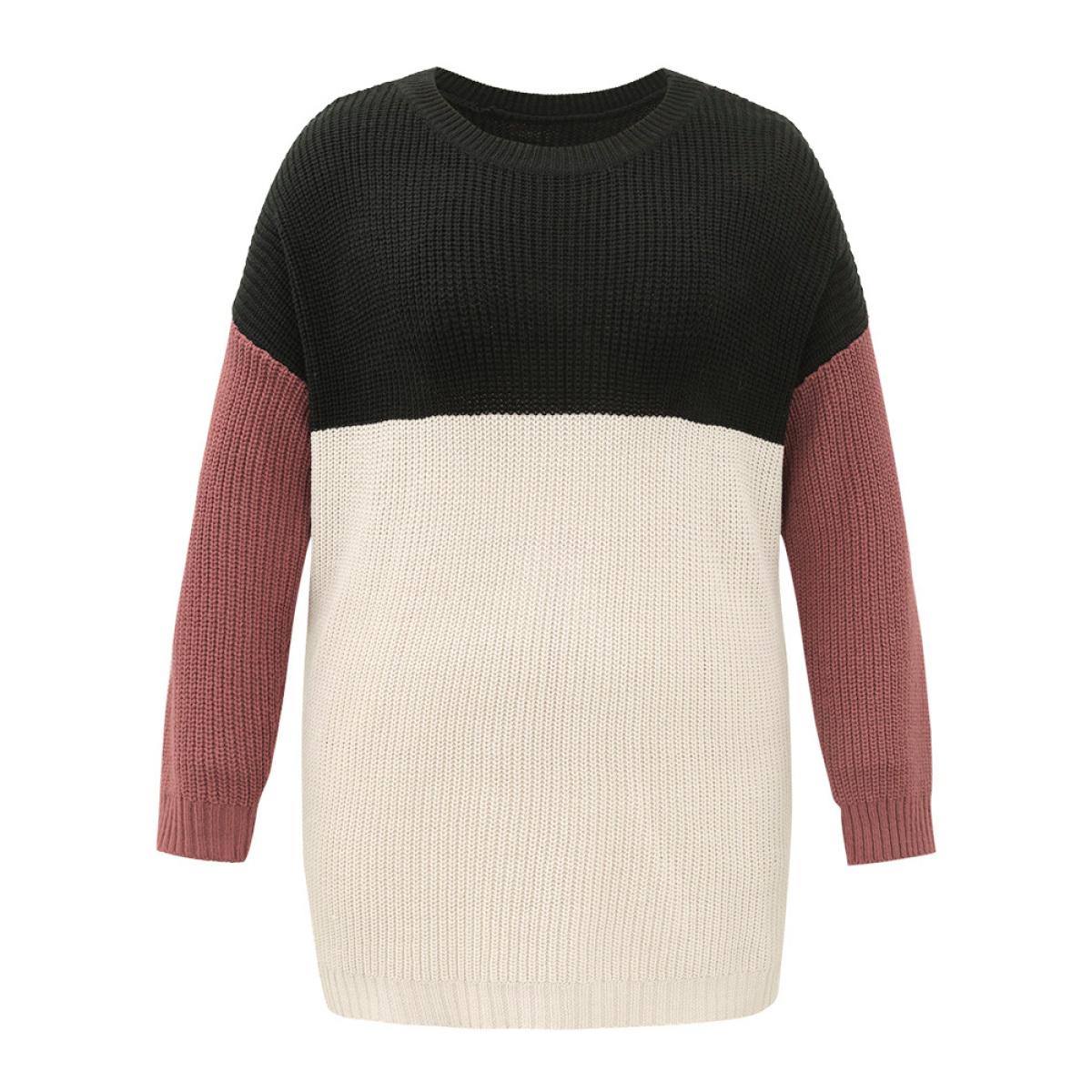 Plus Size Colorblock Contrast Crew Neck Pullover Multicolor Women Casual Loose Long Sleeve Round Neck Dailywear Pullovers BloomChic 14-16/1X Product Image